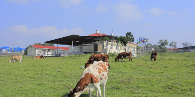 National Animal Genetic Resources Centre and Data Bank (NAGRC&DB)