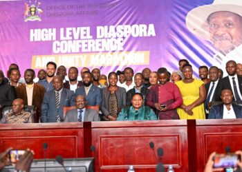 Babalanda Calls on Diaspora to Invest Skills, Capital Back Home