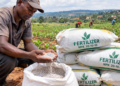 Middle East Conflict Exposes Uganda’s Dependence on Imported Fertilizers