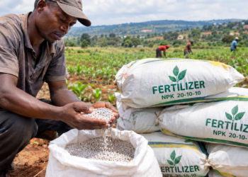 Middle East Conflict Exposes Uganda’s Dependence on Imported Fertilizers
