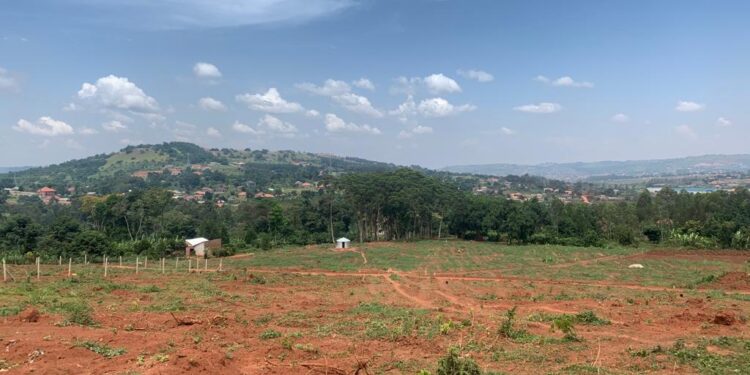 Kisubi-Wamala, Entebbe Road
