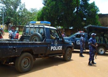 Police Arrest Flying Squad Detective Over Alleged Torture of Suspect